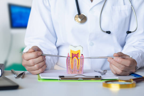 Best Emergency Root Canal Treatment in Monument Beach, MA